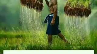 Download Lagu Setetes keringat ayah MP3