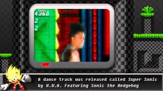 Sonic the Hedgehog 2 review  Mega-Drive \/ Genesis