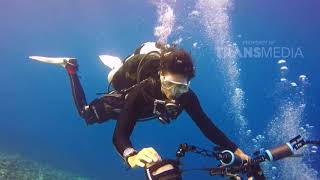 MY TRIP MY ADVENTURE - Keindahan Panorama Bawah Laut Diving Di Ampibabo ( 6/5/18) Part 2