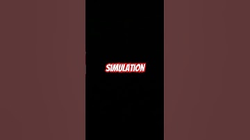 Simulation