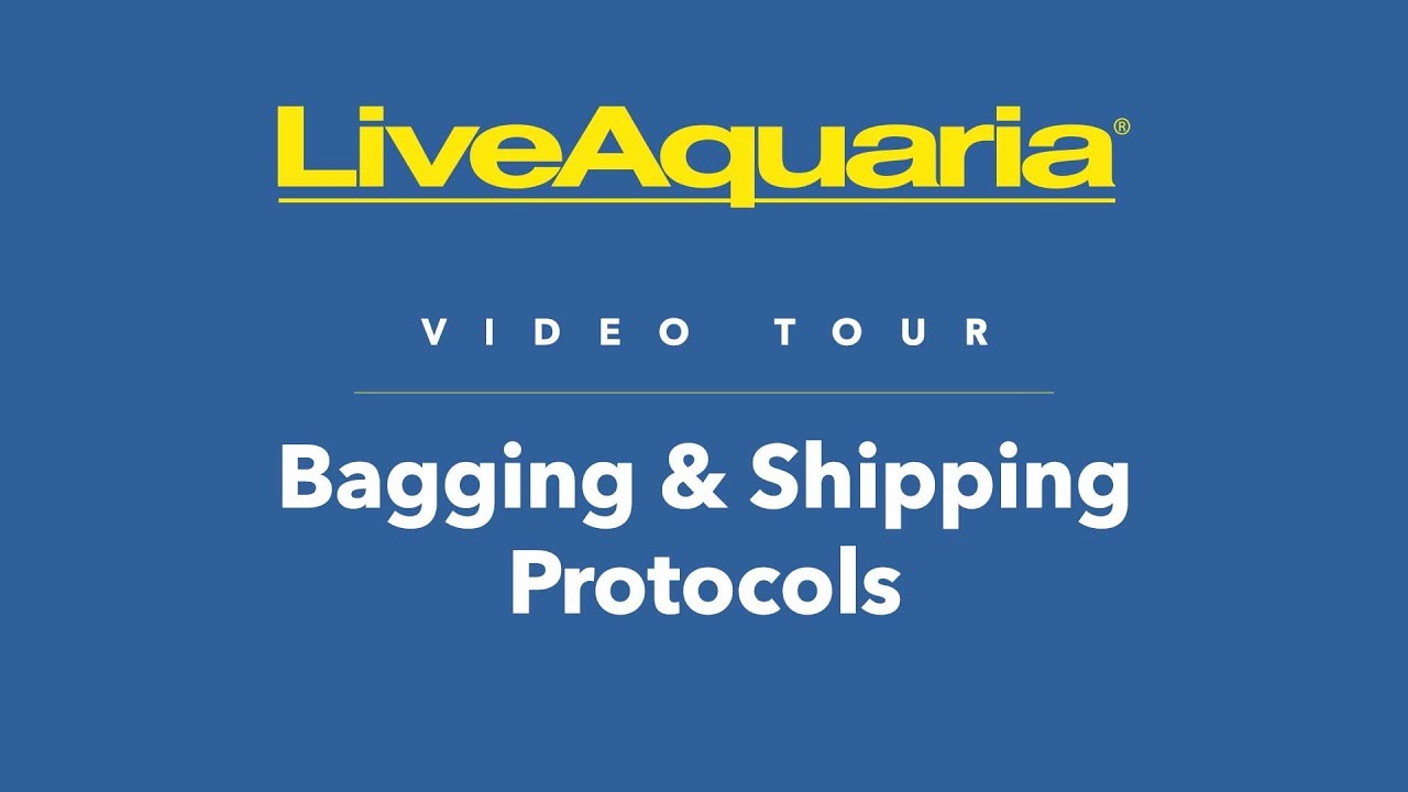LiveAquaria® Video Tour Bagging & Shipping YouTube