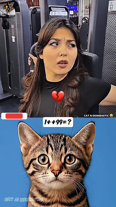 gym trainer Aura 💀 #funny #cat #memes #viral