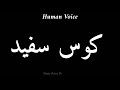 How To Pronounce کوس سفید Pronunciation کوس سفید How To Say کوس سفید 