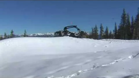 Winchcats for the Birds of Prey