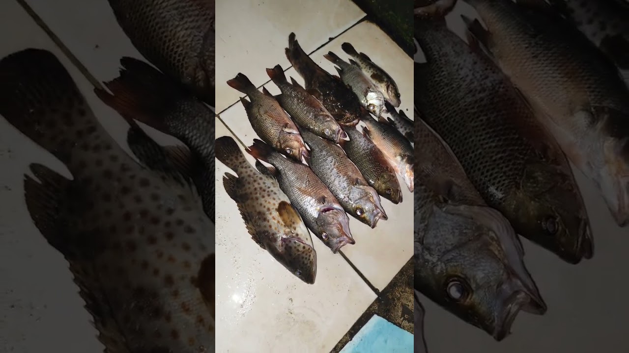 Hasil memancing 