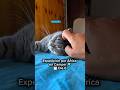 Expedición por África en Camper Día 6 🌍🚚