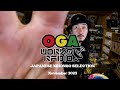 ジャマイカ前にオガラジで日本語レゲエ特集！！OGAWORKS RADIO JAPANESE REGGAE SELECTION NOVEMBER 2023