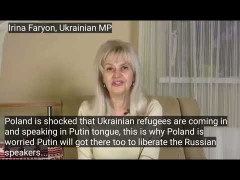 Ukrainian MP 