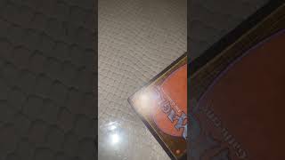IMG 3197