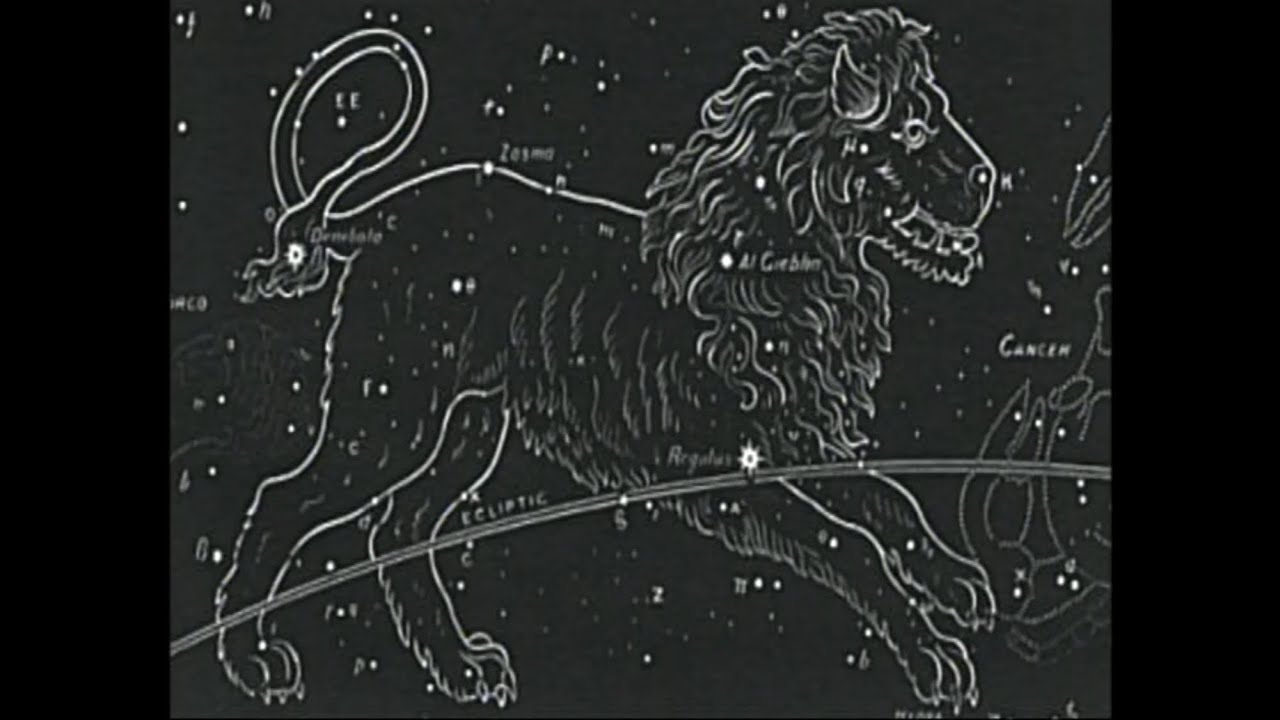 Фигура льва созвездие. Созвездие Льва звезды. Лев Созвездие черно белое.