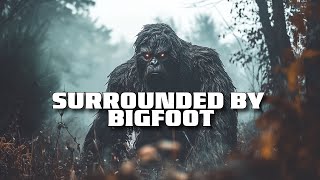 Terrifying Bigfoot Encounters at Mount Rainier & St. Helens