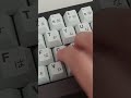 poppy keyboard