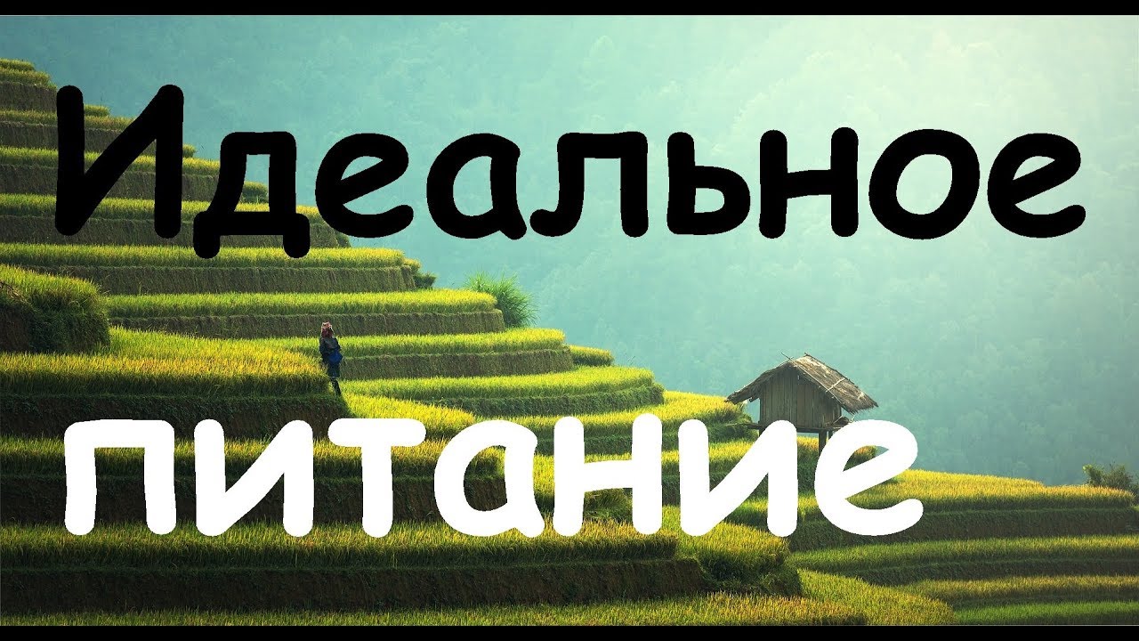 Диета Галины Гроссман – меню на неделю, результаты и отзывы Диета Галины Гроссман – меню на неделю, результаты и отзывы