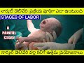 నార్మల్ డెలివరి ఎలా జరుగుతుంది | Normal Delivery Process In Telugu 2021 | Normal Delivery Telugu 21