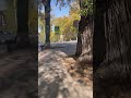 इतनी अच्छी साफ़ सफ़ाई आपने कही नहीं देखो होगी | cleanest city I have ever seen | Kazakhstan | Almaty