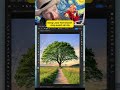 Cách tách cây dễ dàng với Photoshop