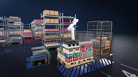 MIXED CASE PALLETIZING  - GOODS TO ROBOT