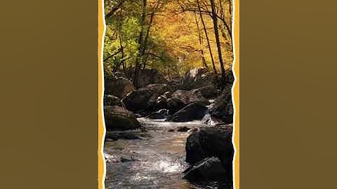 سَبِّحِ اسْمَ رَبِّكَ الأعْلَى...سورة الأعلى #سورة_الاعلى #قران_كريم