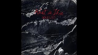 What Is This - Squeezed - Hillel Slovak & Jack Irons Before Rhcp W Alain Johannes