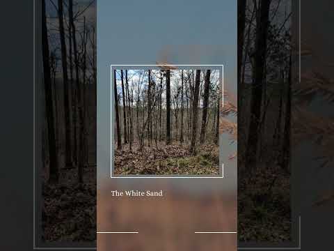 7782 Orchard Ln, Lusby, MD home video tour