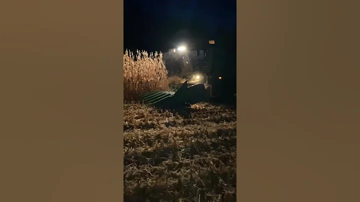 Corn Harvest at Night with Powerful Combine Harvester. #heavymachinery #farming #agriculture #farm