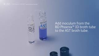 Inoculation procedures BD Phoenix Panels   Combo Panels