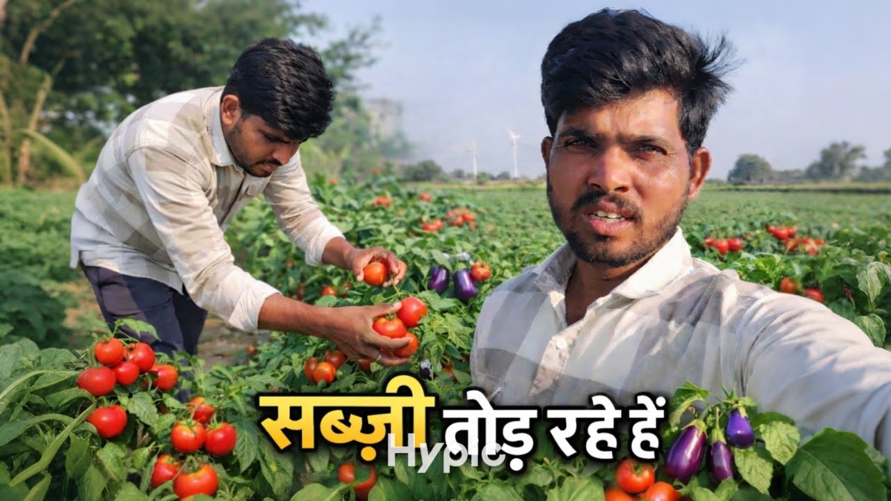 सब्जी तोड रहे हैं❤Aadivasi kuwrasingh mawda blog video❤