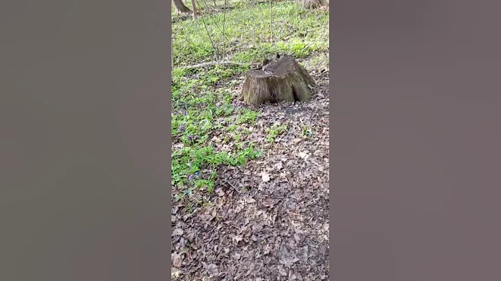 Мамки ведающие, а может по феячим как Феи..... 😂😂😂😂