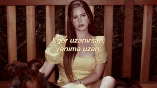 Lana Del Rey - If You Lie Down With Me (Türkçe Çeviri)