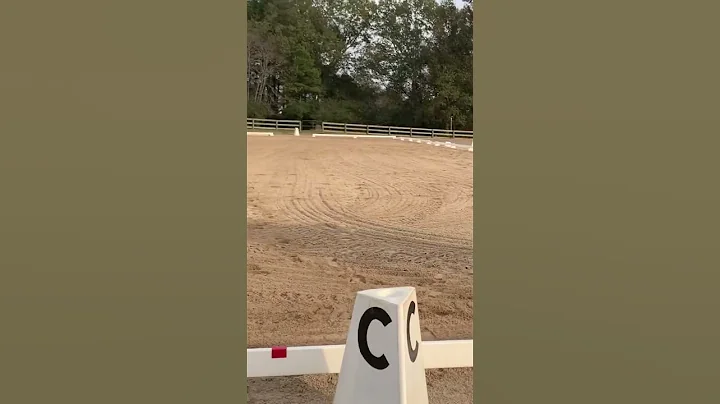 Leg yield left 11/2022