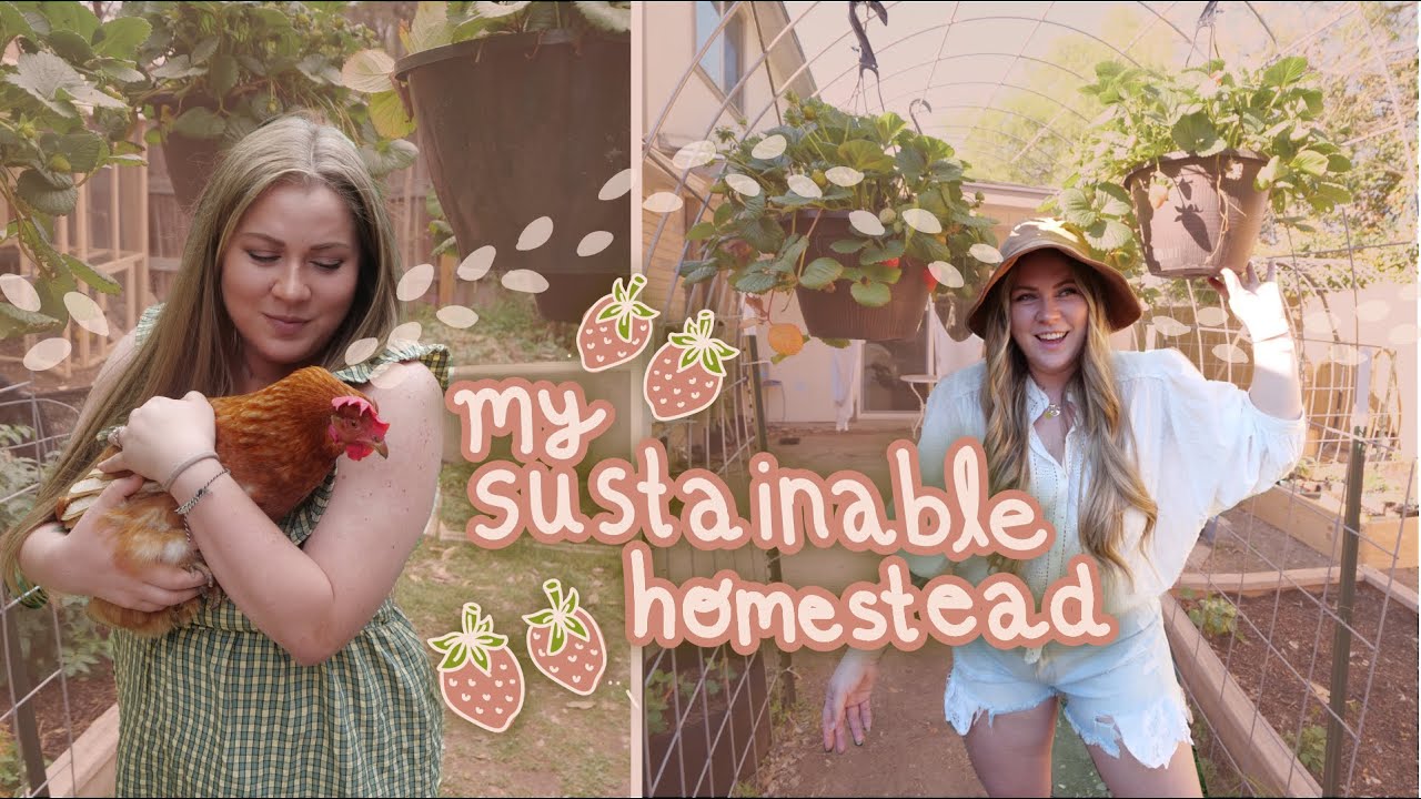 creating my ✨DREAM✨  sustainable homestead + second hand finds & zero waste emergency kit