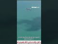 IRGC Releases Footage Of Ships Seized In Strait Of Hormuz