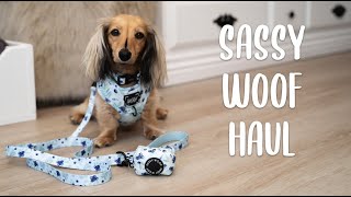 SASSY WOOF TRY ON HAUL