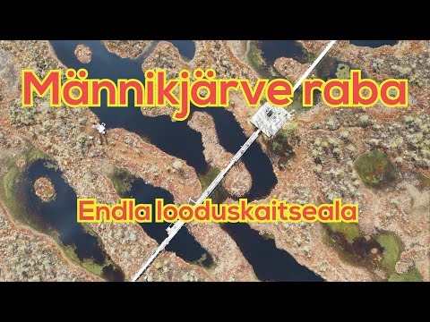 Männikjärve raba Estonia