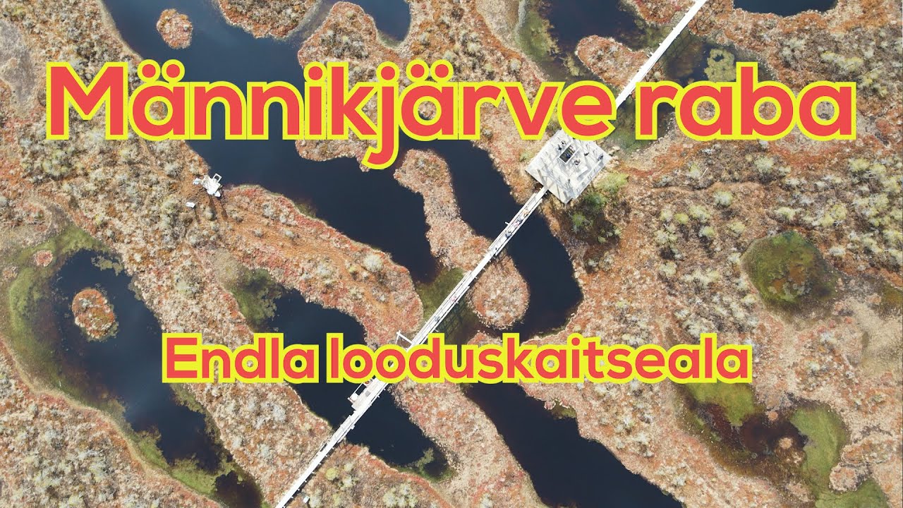 Männikjärve raba, Estonia