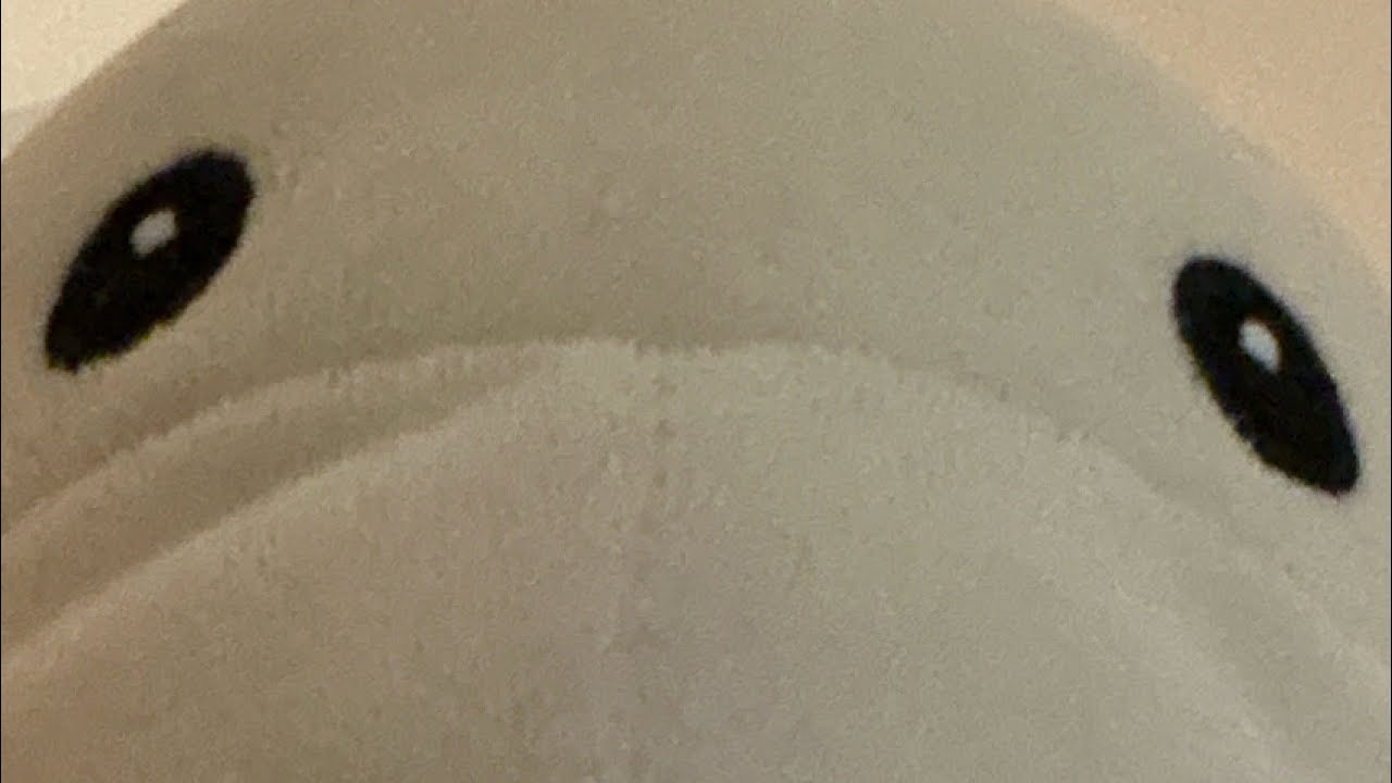 All the plushies❤️❤️❤️❤️❤️❤️❤️❤️❤️❤️❤️❤️❤️❤️