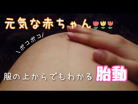 【胎動ダイジェスト】元気なベビさんの様子