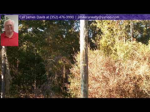 1403 E McKinley Street, Hernando, FL home video tour