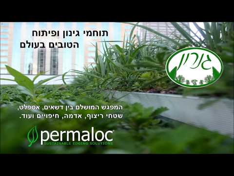 וִידֵאוֹ: פארקי סניפים מובילים ברחבי פורטלנד, אורגון