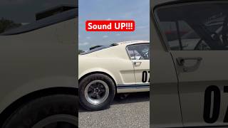 GT350 ford Mustang fastback Shelby GT 350 racing 289 v8 idle engine exhaust American cars car