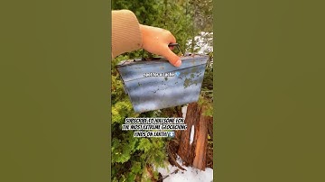 What’s inside of a geocache!? Wait until the end to find out what was inside of this one! 👀