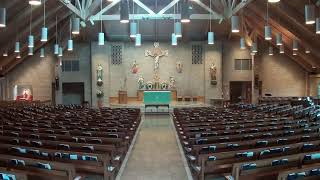 9:30am Mass - 11th Sunday in Ordinary Time from Holy Cross Catholic Church (June 14, 2026)
