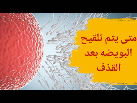 متى يتم تلقيح البويضة بعد القذف وأسئلة أخرى تهمك إجاباتها