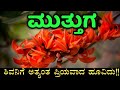 ಶಿವನಿಗೆ ಅತ್ಯಂತ ಪ್ರಿಯವಾದ ಮುತ್ತುಗ ಅಥವಾ ಪಲಾಶ | Palash or muttuga