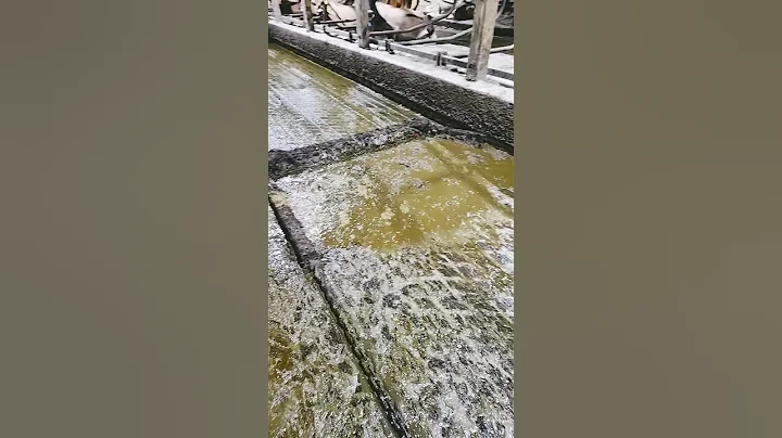 rumba in the barn #cleaning #farm #dairyfarm #work#health #wellbeing