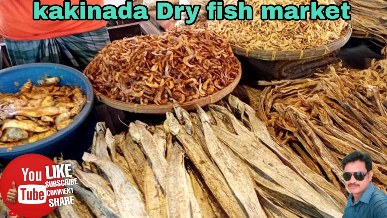 ఎండు చేపల మార్కెట్ జగన్నాధపురం కాకినాడ మీకు చాలా తక్కువ ధర కలిగి ఉంటుంది మరియు మీరు ఎక్కడికైనా 🙏🙏🙏🙏🙏
