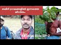 Village life of Tirunelveli | All India Ride EP-02 | The solo Traveler