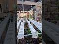Best DIY Seed Start - RAIN GUTTER GROW SYSTEM #growbag #hydroponics #seedstarting