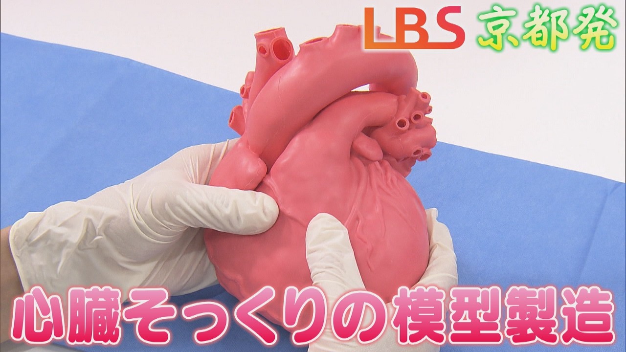 3D-Printed Hearts