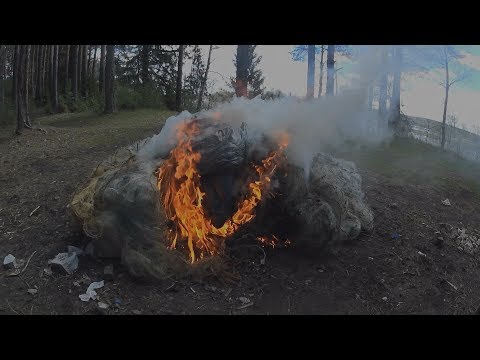 норки отличаются структура борьбы с браконьерами борятся смс